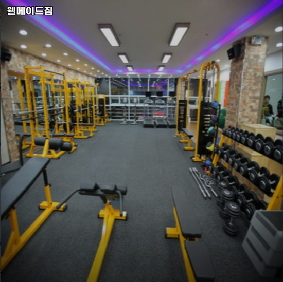 웰메이드짐 이미지