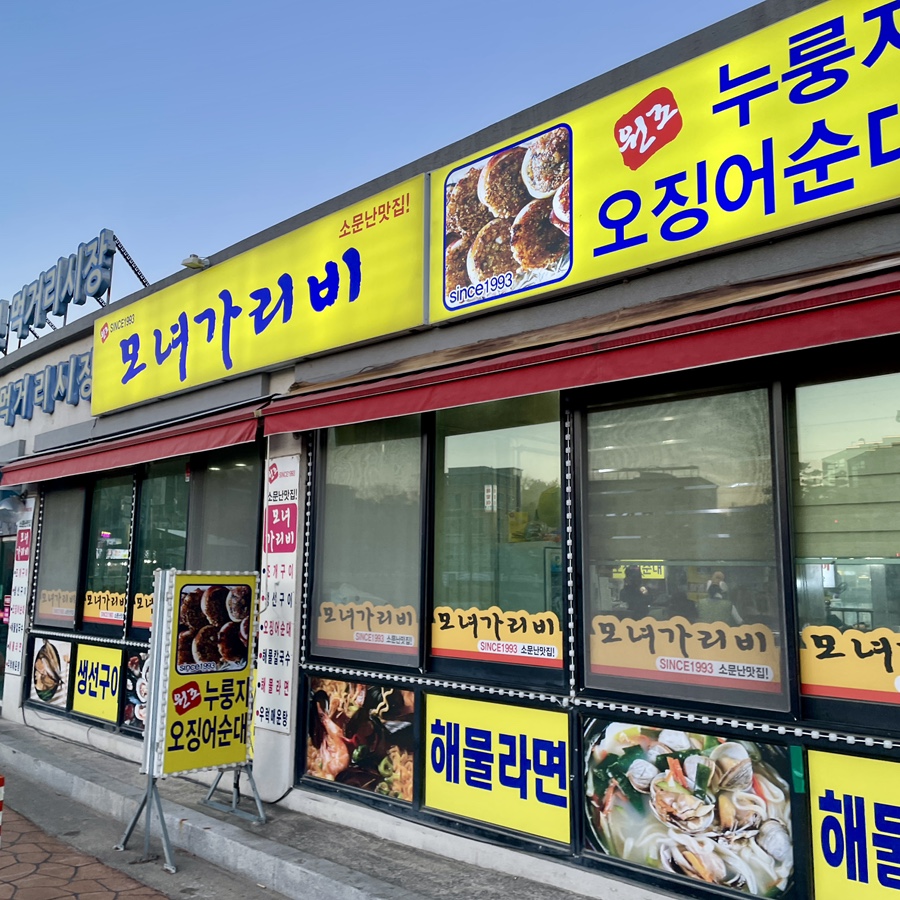 모자가리비 이미지