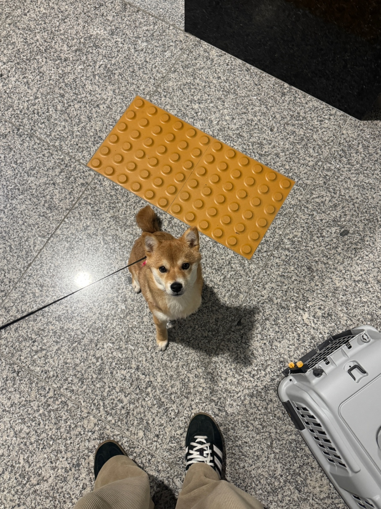 츠키네일 이미지