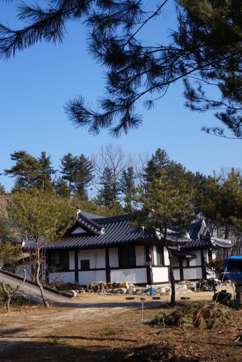 비내청명원 이미지