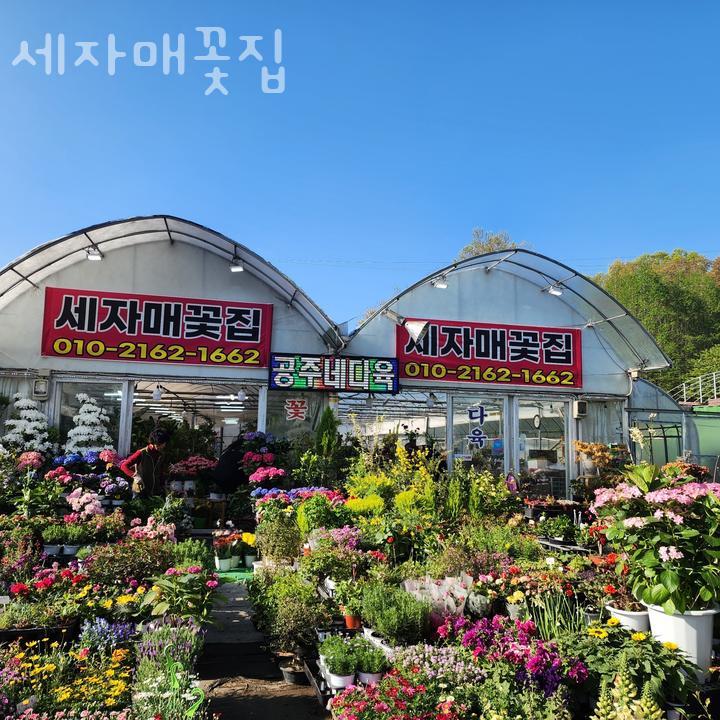세자매꽃집 이미지