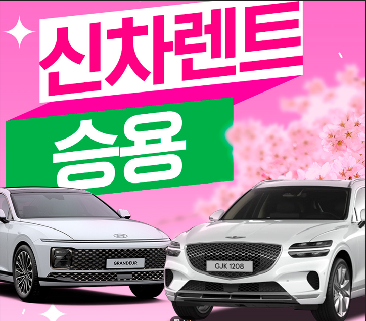 대한오토픽 이미지
