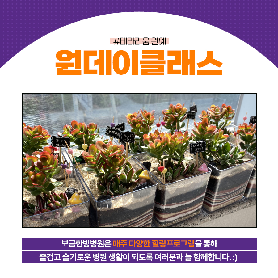 보금한방병원 이미지