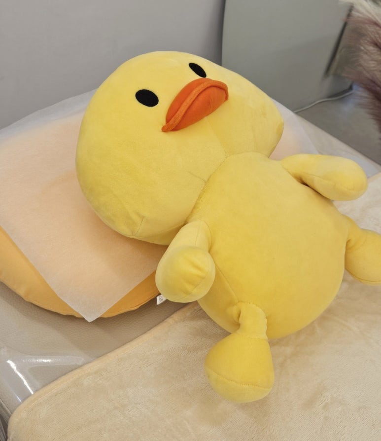 셀라왁싱 이미지