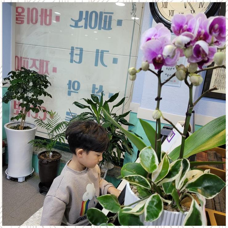 행복한음악학원 이미지