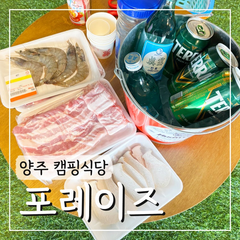 포레이즈 이미지