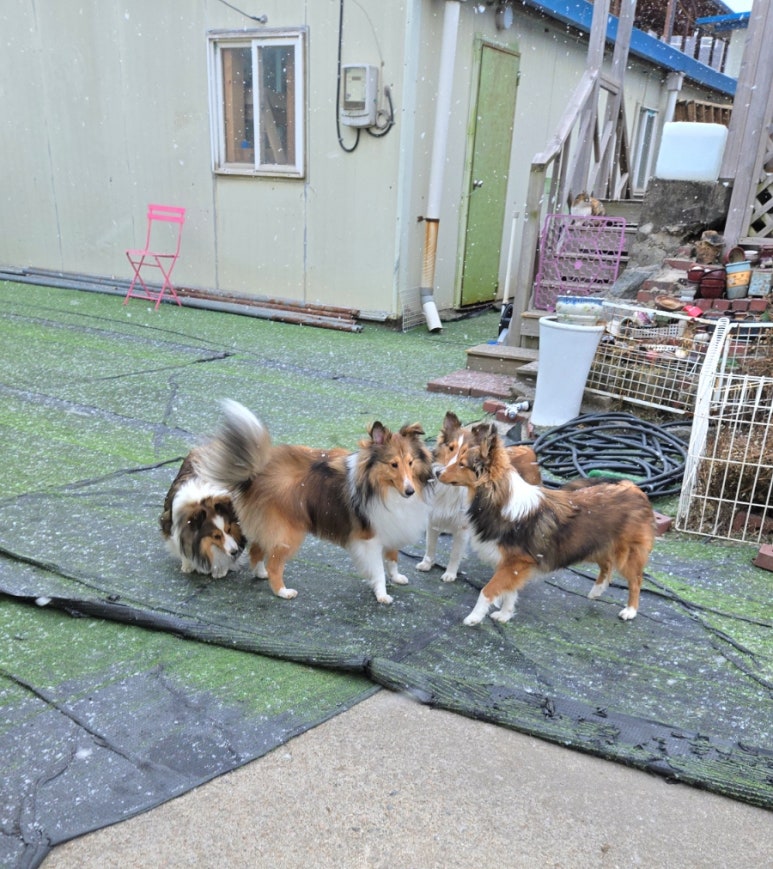 문패밀리 이미지