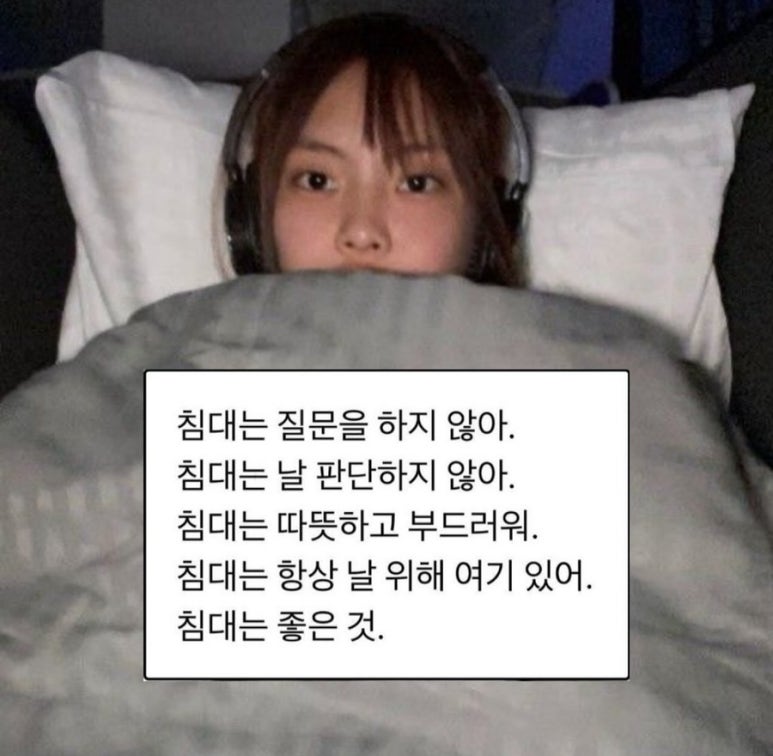 낭만과순정 이미지