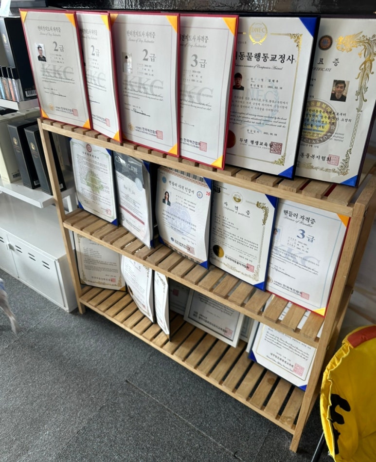 젠틀펫 이미지