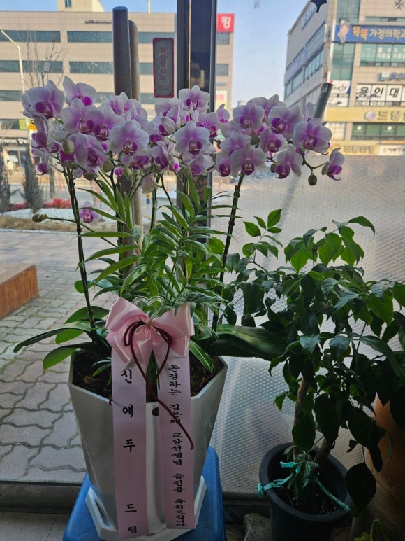 영플라워샵 이미지
