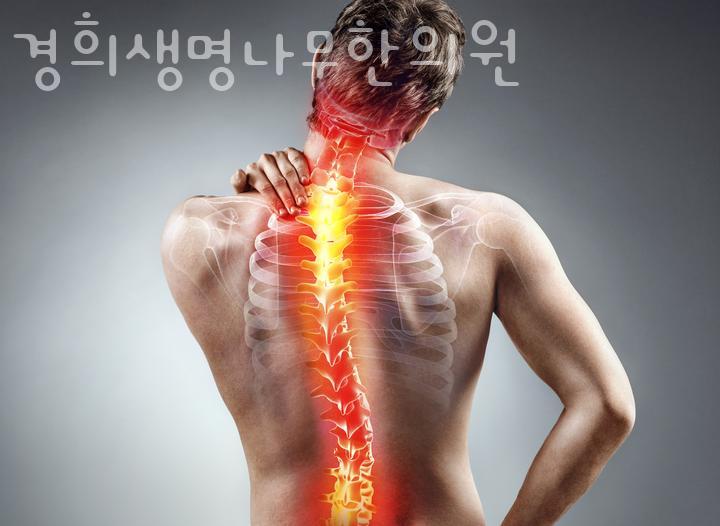 생명나무한의원 이미지