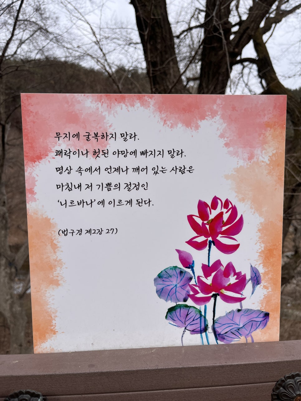 삼국테라피 이미지