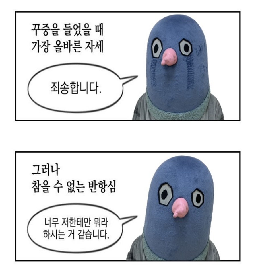 우탄 이미지