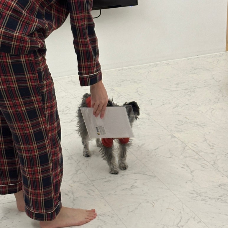 보리네민박 이미지