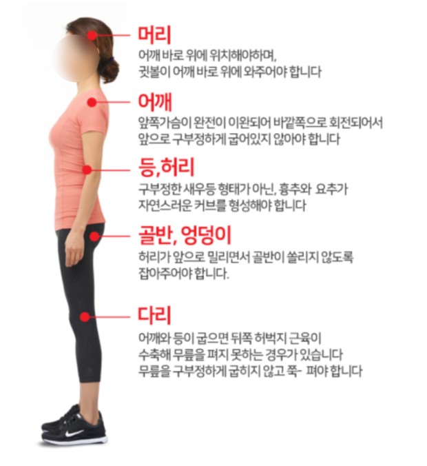 더블유휘트니스 이미지