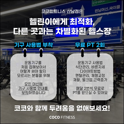 코코세미 이미지
