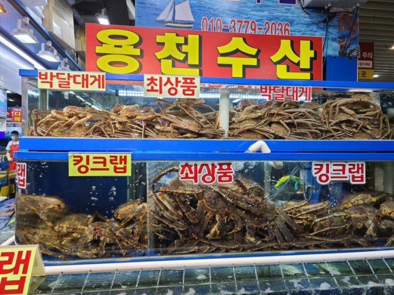 가락활어회센터 이미지