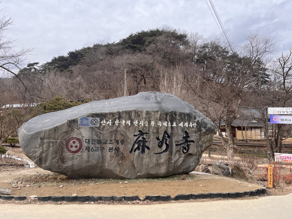 삼국테라피 이미지
