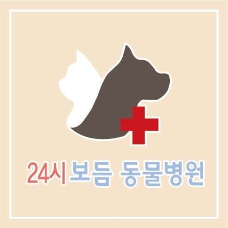 교동빵집 이미지
