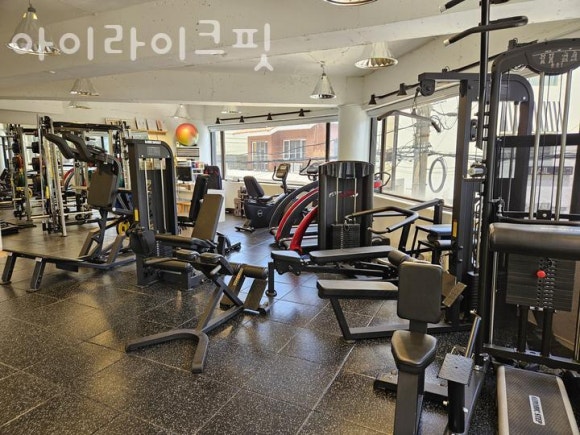 라이크핏 이미지