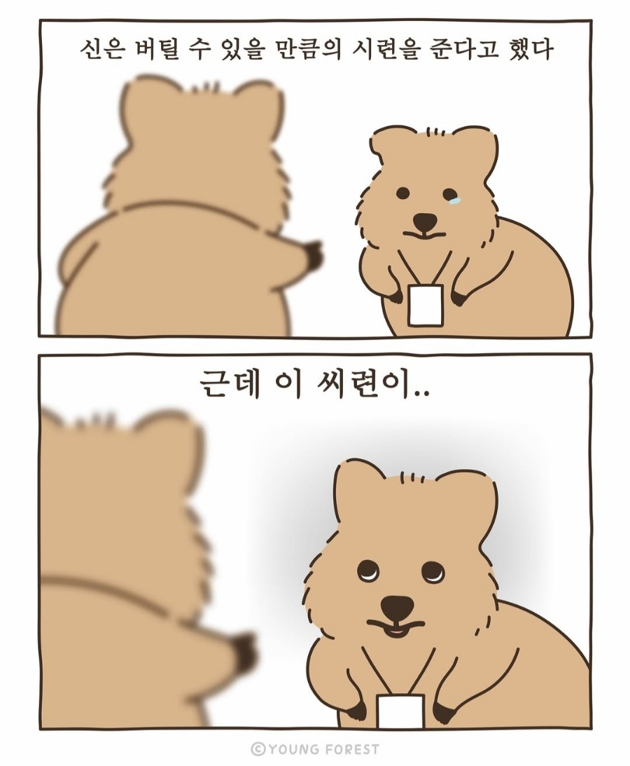 크로스핏루프탑 이미지