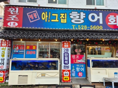 원조서원향어가 이미지