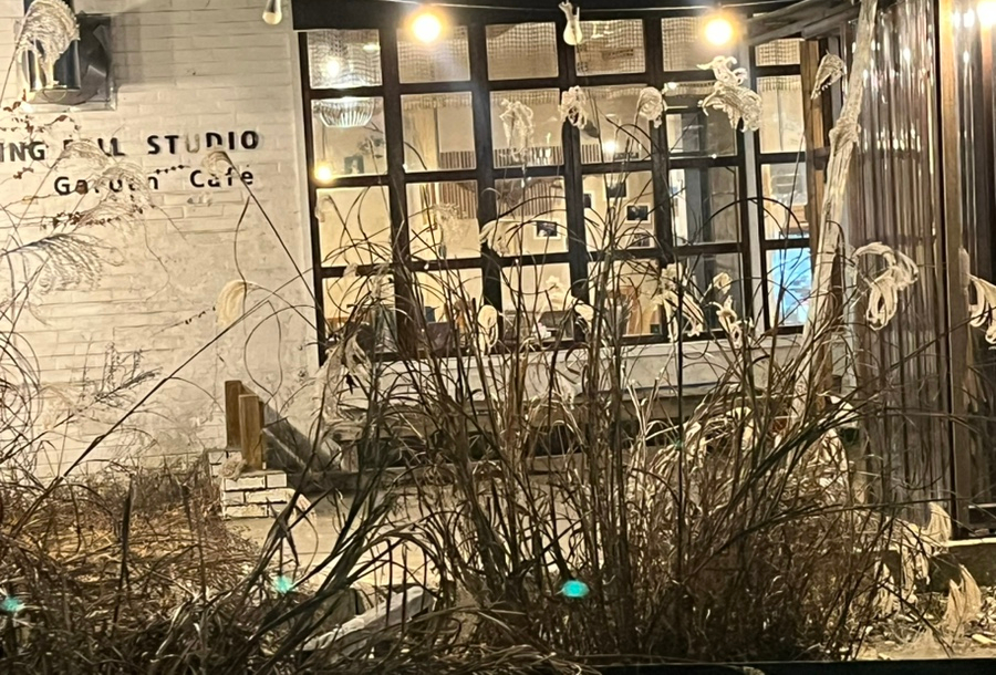 스프링폴카페 이미지