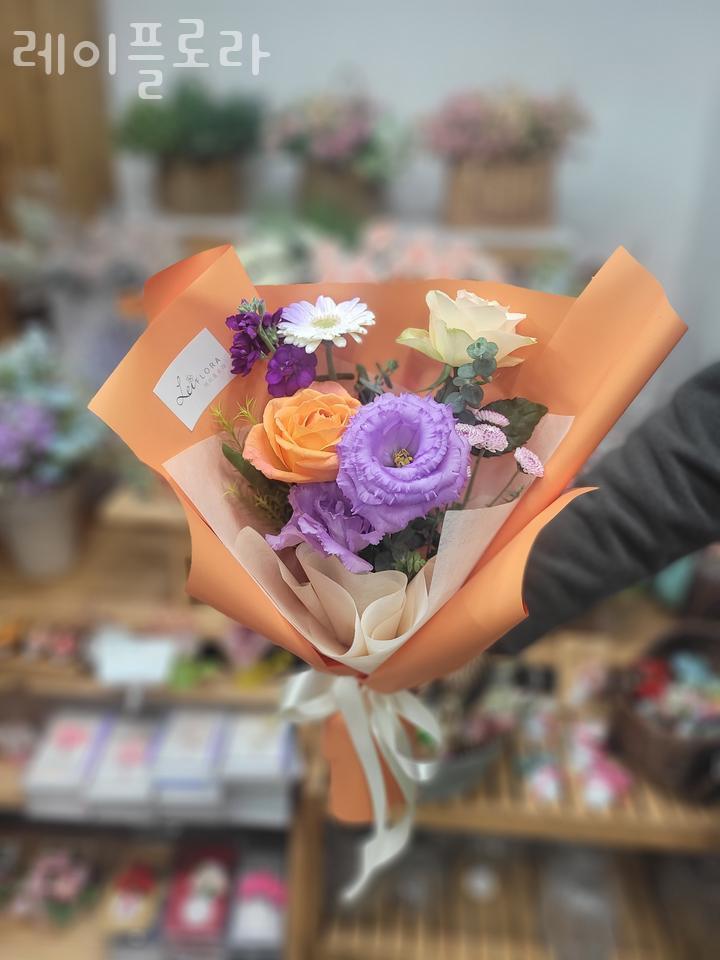 레이플로라 이미지