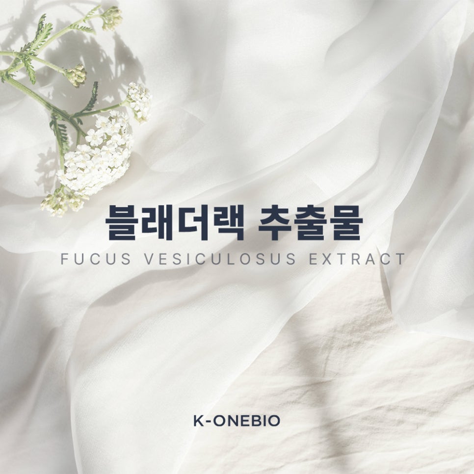 더랙 이미지