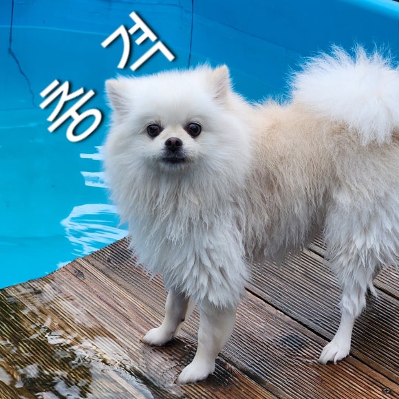 세무그룹절세연구소 이미지