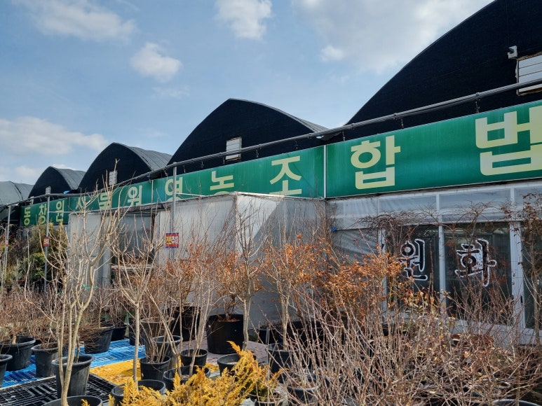 용전법인 이미지