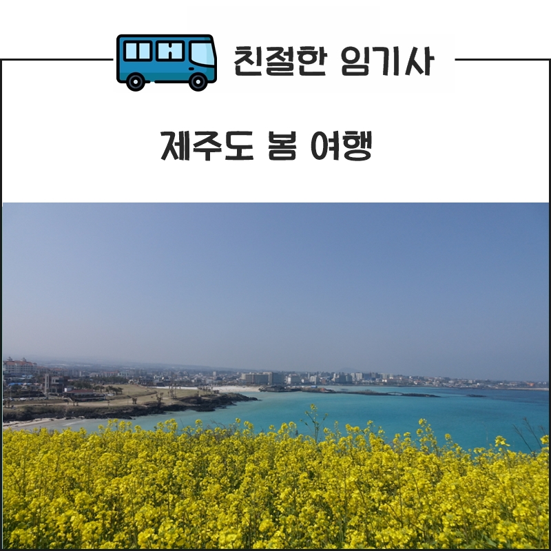 하늘카서비스 이미지