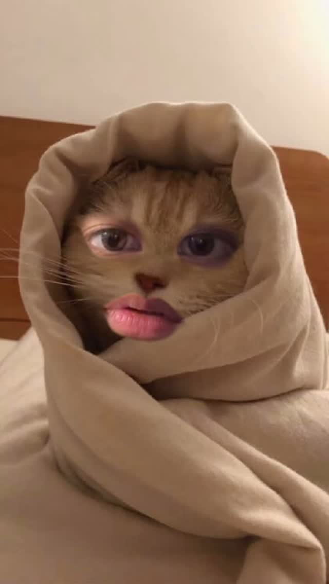 스토리씨티 이미지