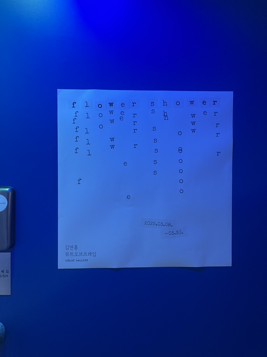 갤러리뮤트 이미지