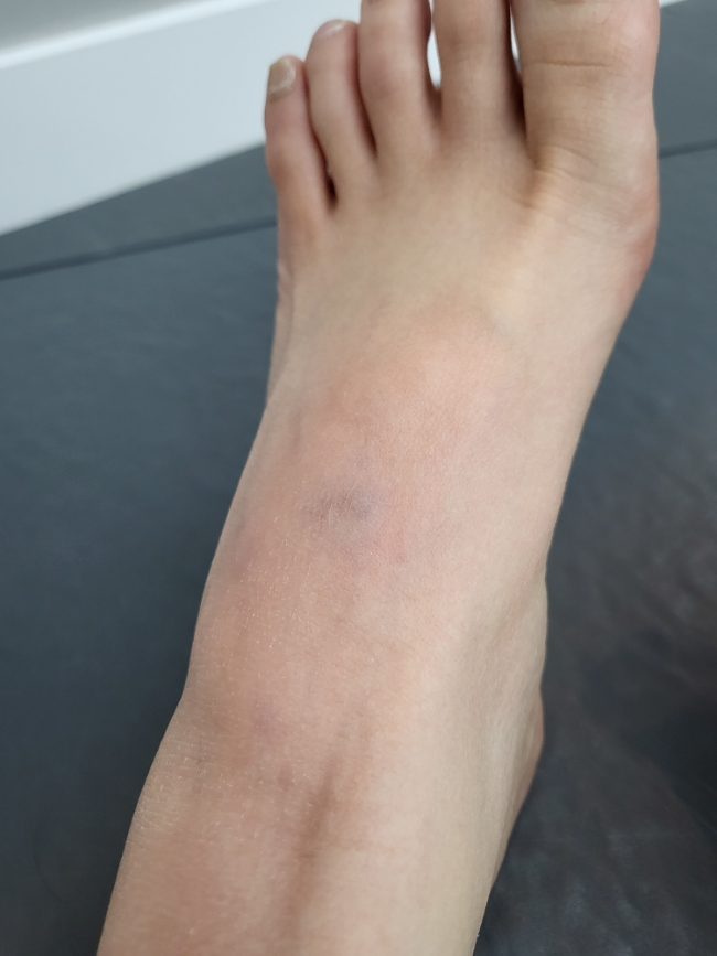 삼바리(진주평거점) 이미지