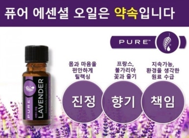리뉴바디 이미지