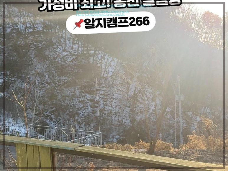 알지캠프266 이미지