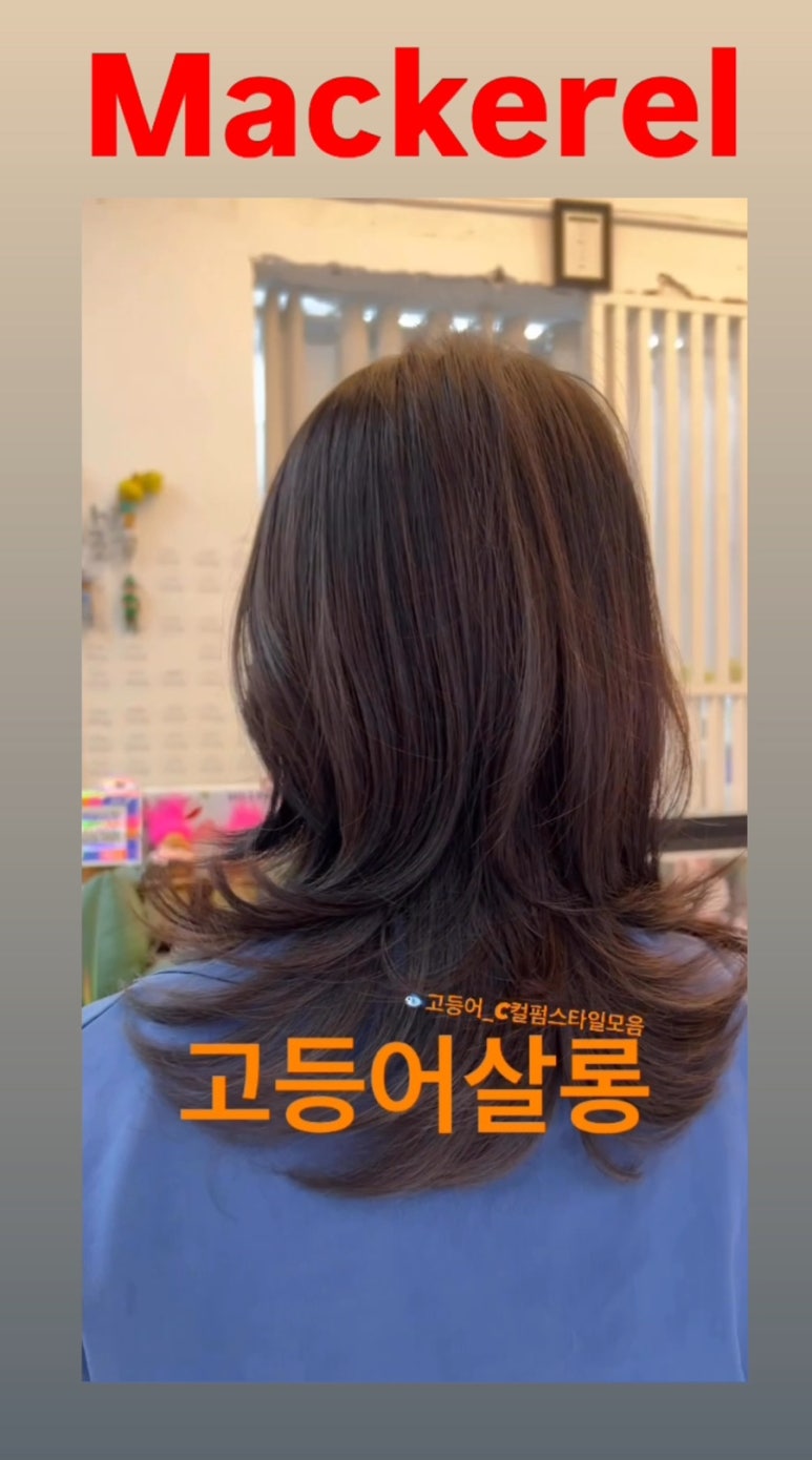 회기살롱 이미지