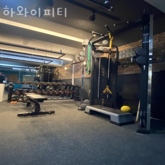 하와이피티 이미지