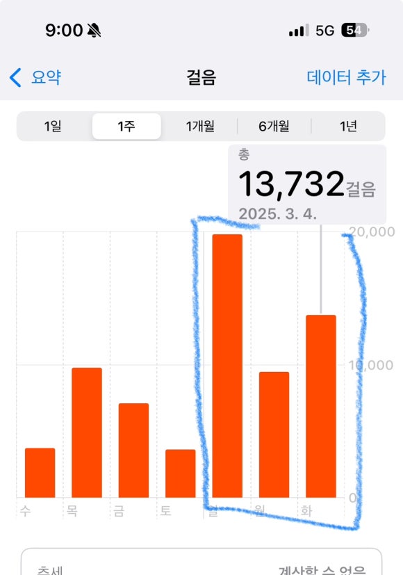 팽미 이미지