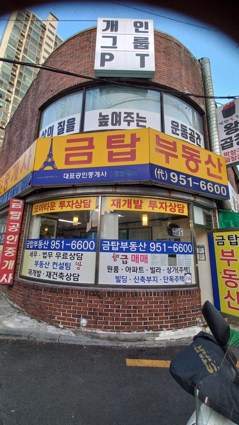 엘지도마센타 이미지