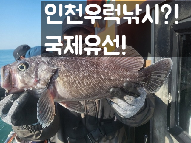 부킹호 이미지