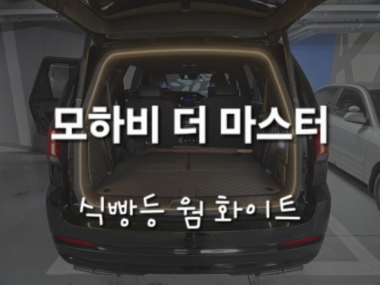 화이트365천안 이미지