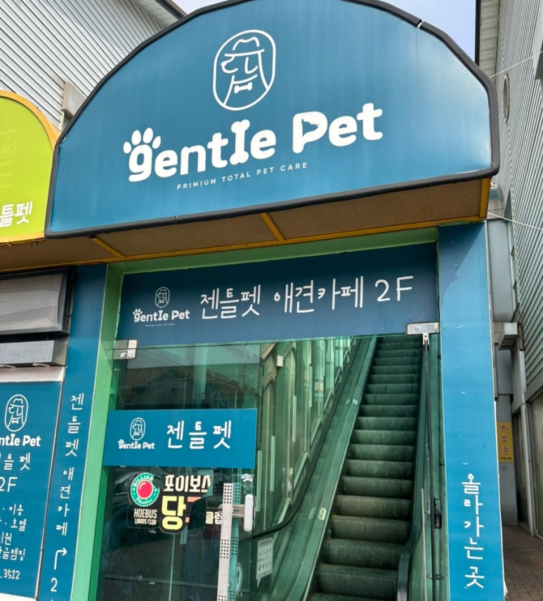 젠틀펫 이미지