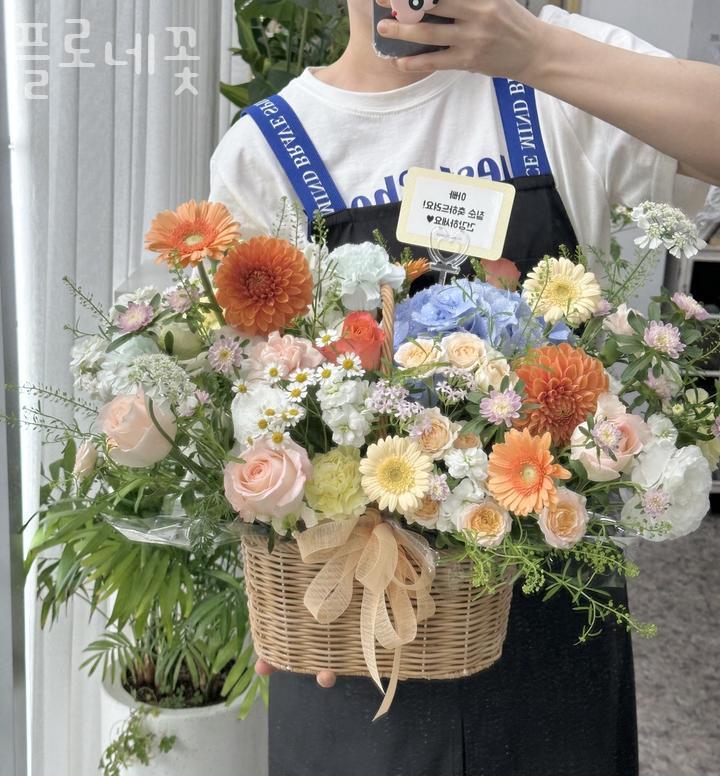 또도헤어 이미지
