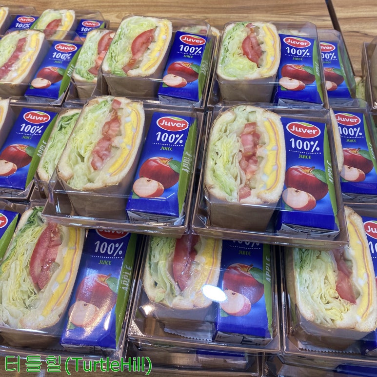 터틀힐 이미지