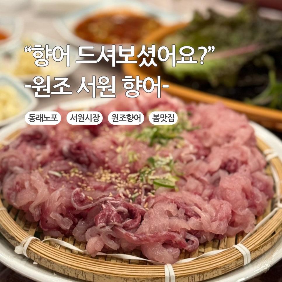 원조서원향어가 이미지