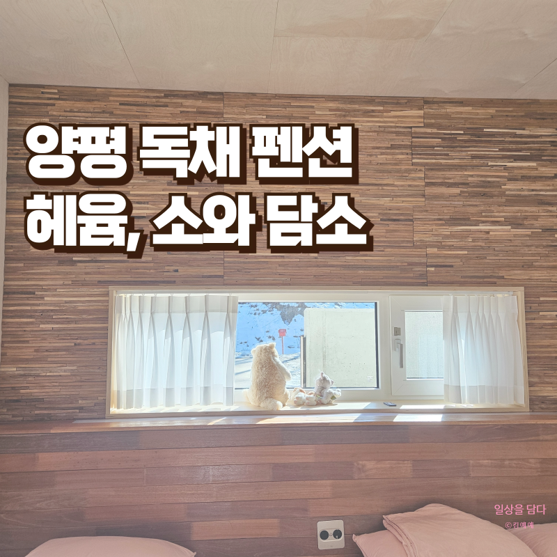 헤윰;소 이미지