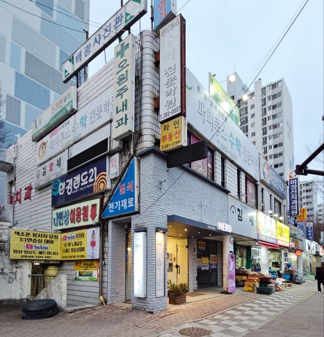 금호복돼지 이미지