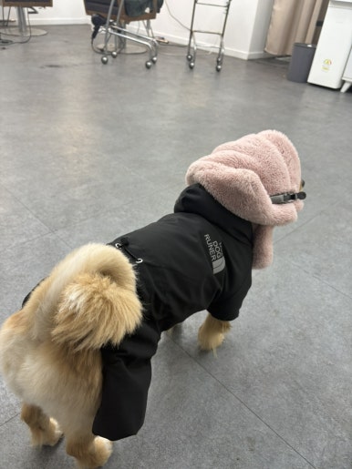 윙크분식 이미지